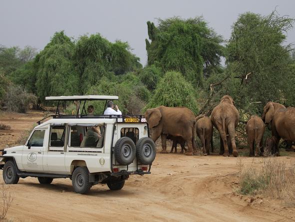 samburu-game-lodge-20120711035659